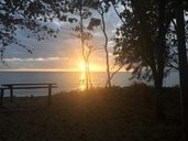 Holloways Beach Markets